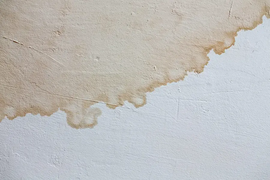 Brown water stain spreading across ceiling drywall below a roof leak